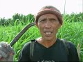 Freegrow