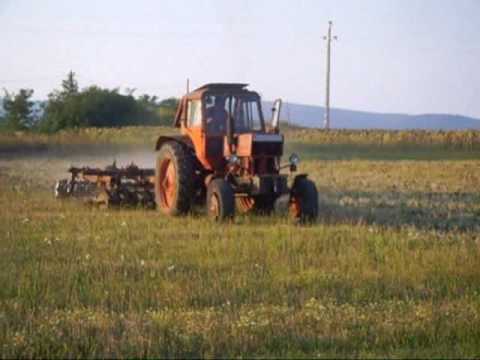 Mtz82 -
