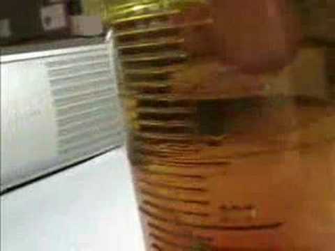 Density Experiment