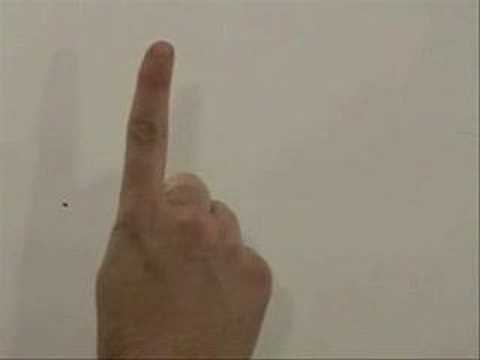 Immagine anteprima YouTube