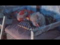 Publigeekaire.com / New York Lottery - Cutest Ad Ever ?