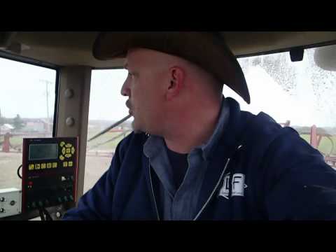 how to fertilize winter rye