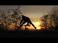 Trials Pro Rider - for one month