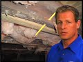 Home Epidemic: Crawlspaces and Mold