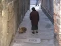 El cagneto (Il cagnolino) El cagneto (Il cagnolino)