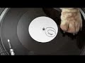 Beatbox Hund Beatbox Hund