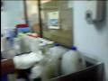 videos de AB TSU: siguiendo a ab