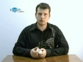 MrTESTVideo: Transcend T-sonic 820, video review from www.zoom.cnews.ru MrTESTVideo: Transcend T-sonic 820, video review from www.zoom.cnews.ru