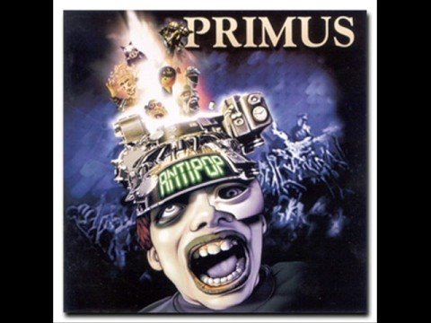 primus-tommy the cat