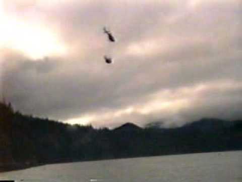 Helicopter picking balsam cones