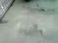 rapo qemando rueda