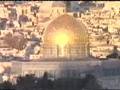 New-World-Order-Free