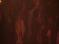 videos de DeadbyDawnGamer bring you Down in the Park