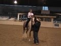 Windigo's Crimson Warlock - Stallion Parade