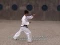 International Taekwondo Federation (ITF) Pattern 3