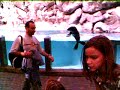 zoo 