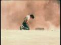 Lakai - Fully Flared