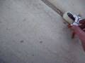 videos de PIPE BOMB SCOTT