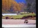 Sardin.wmv