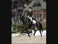 il dressage
