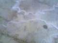 espuma