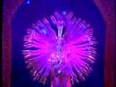 amazing 1000 hands buddha dance