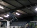 tailwhip
