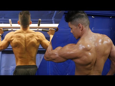 how to train trapezius