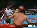 Roy Jones Jr. Highlight/Tribute Video