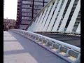 Crios en el puente de Calatrava, Valencia