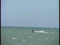 videos de Jose kitesurf en el yaque