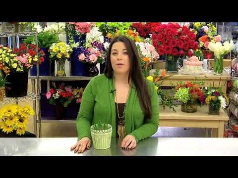how to care hyacinth
