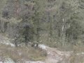 honda xr och cr