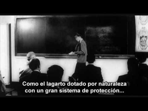 Imagen de previsualización de YouTube