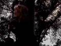 clip video Petula clark DOWNTOWN