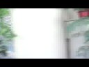 200806 南橫毛地黃 19 人 18 台車