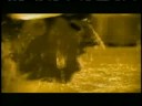 Best-Ads-August-20-2