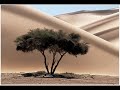Cambio Climático