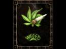 Vavamuffin - Smoking in Jamajka