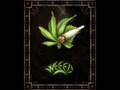 Vavamuffin - Smoking in Jamajka