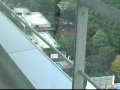 Giraffe from Hotel Window