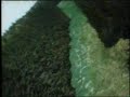 crazy-pilot-plane-race.html