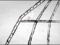 videos de art279