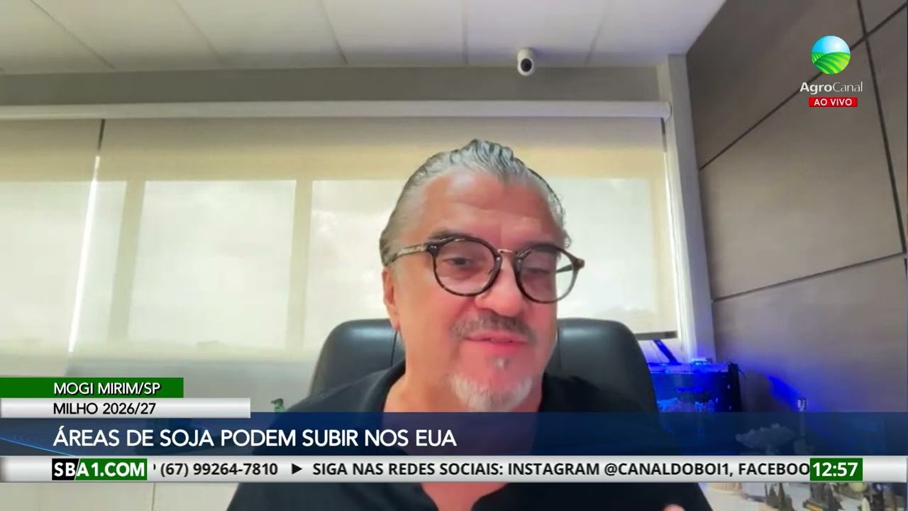 Lavouras de soja podem aumentar nos EUA