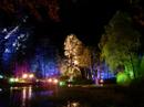 The Enchanted Forrest 2006