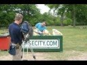 Equine Dentistry Made Easy to Understand part 1