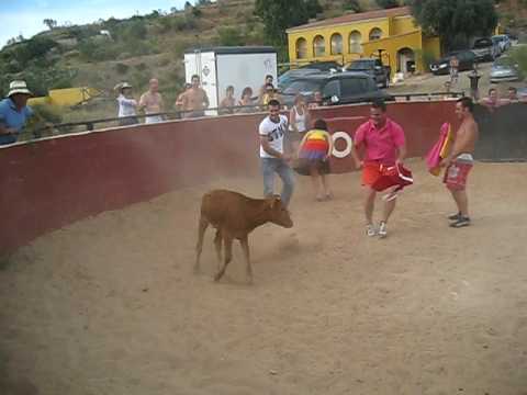 cojidas