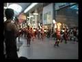 2008YOSAKOI　第55回高知よさこい祭り 俵屋TAWARAYA