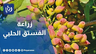  | موسوعة التراث الفلسطيني
