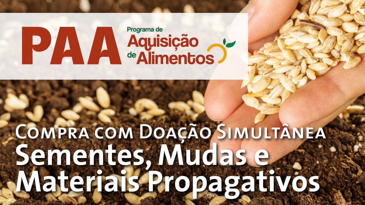 Compra e distribuição simultânea de sementes e mudas no PAA: Saiba como enviar sua proposta